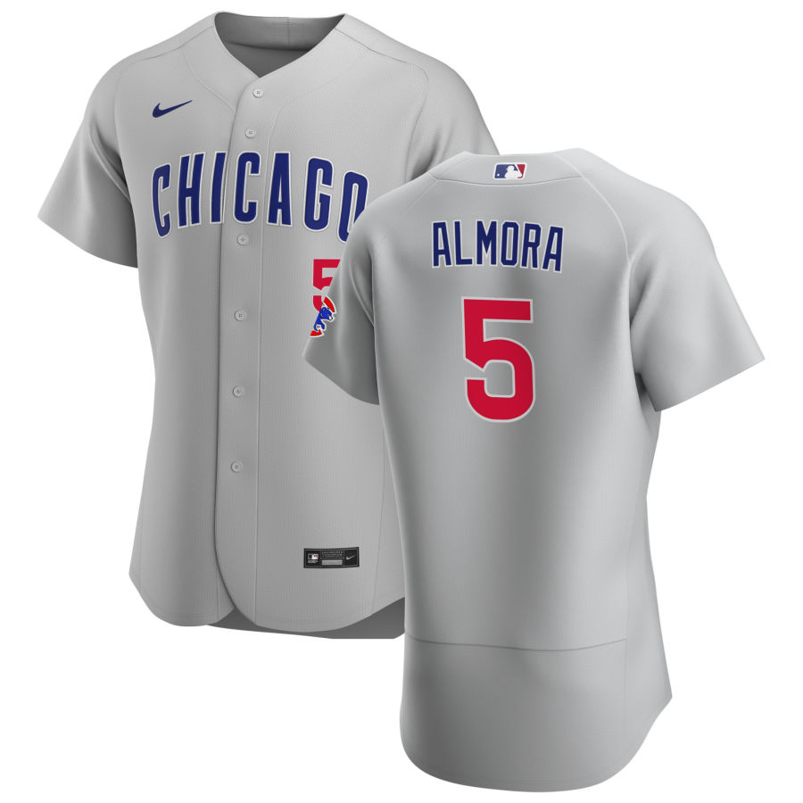 Chicago Cubs 5 Albert Almora Jr. Men Nike Gray Road 2020 Authentic Team Jersey